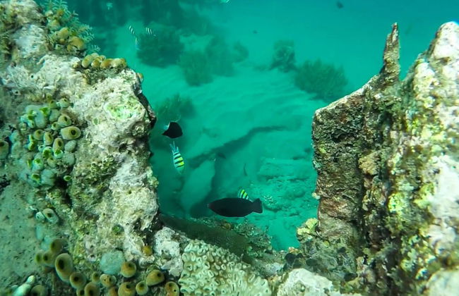 Snorkeling à Bali - Photo 4