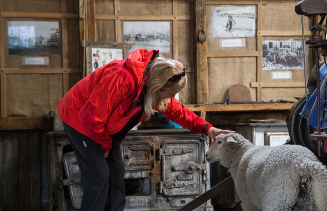 Estância Nibepo Aike + Passeio de barco pelo Perito Moreno - Foto 8