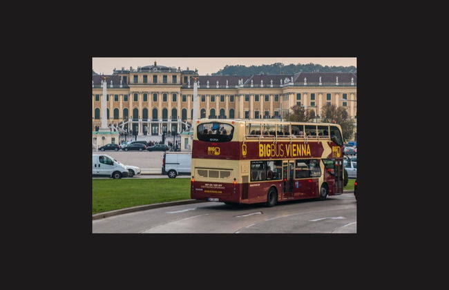 Autobús turístico de Viena, Big Bus - Foto 2