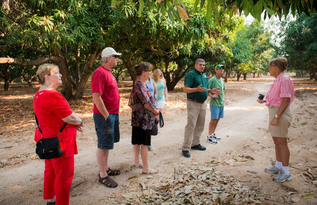 Visite des fruits tropicaux - Photo 5