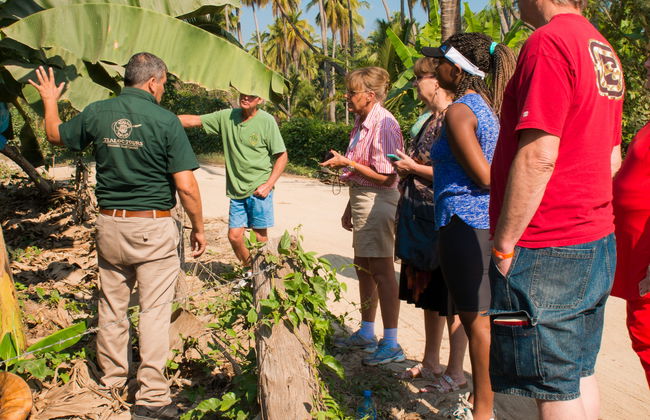 Visite des fruits tropicaux - Photo 8