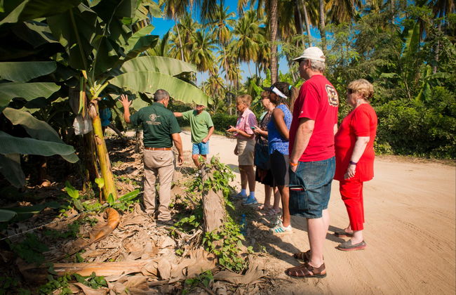 Visite des fruits tropicaux - Photo 3