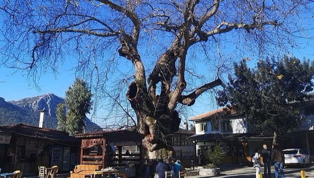 Excursion à Bayir, Turgut et Orhaniye - Photo 2
