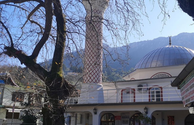 Excursión a Bayir, Turgut y Orhaniye - Foto 4