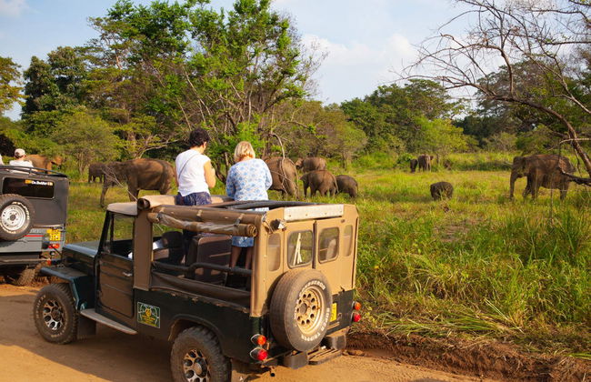 Private Hurulu Eco Park Safari - Foto 1