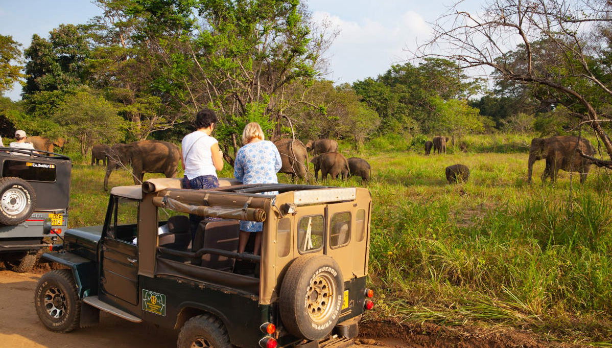 Private Hurulu Eco Park Safari - Foto 1