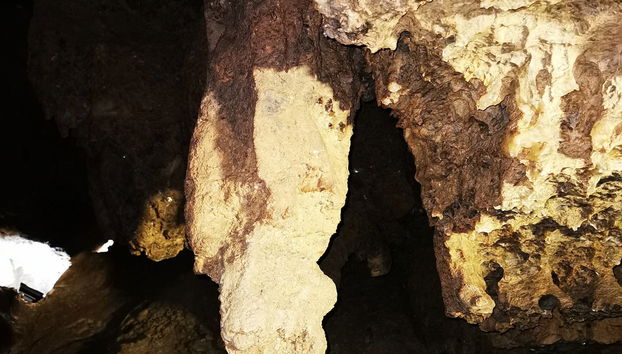 Visita guiada por la Cueva del Yeso - Foto 5