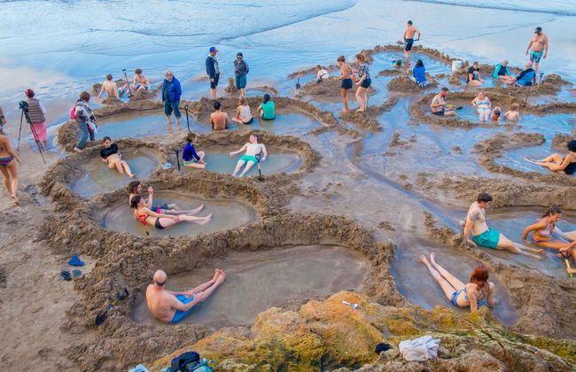 Coromandel Tour - Foto 3