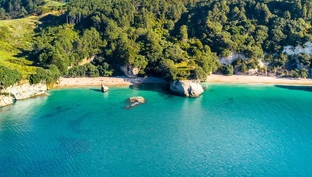 Coromandel Tour - Photo 4