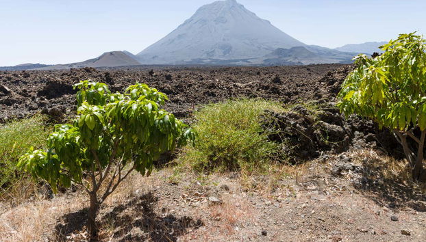 Fogo Island Day Trip - Photo 4