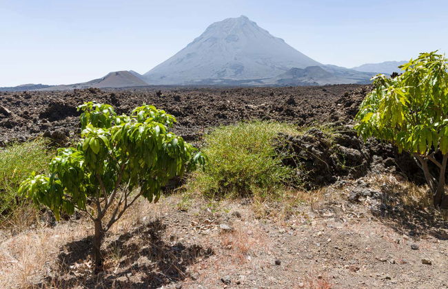 Fogo Island Day Trip - Photo 4