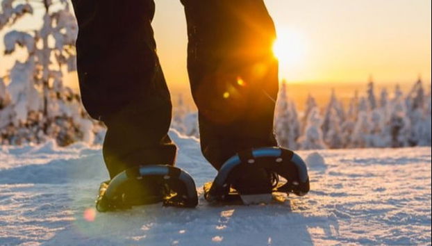 Luosto Snowshoe Hike - Photo 4