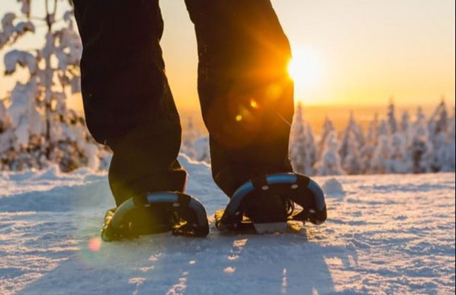 Balade en raquettes à neige - Photo 4