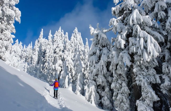 Balade en raquettes à neige - Photo 5