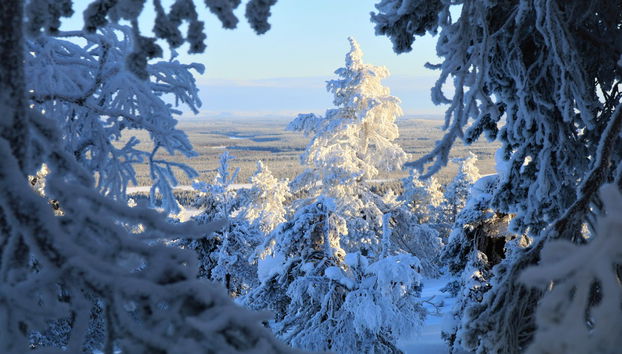 Balade en motoneige dans Luosto - Photo 4