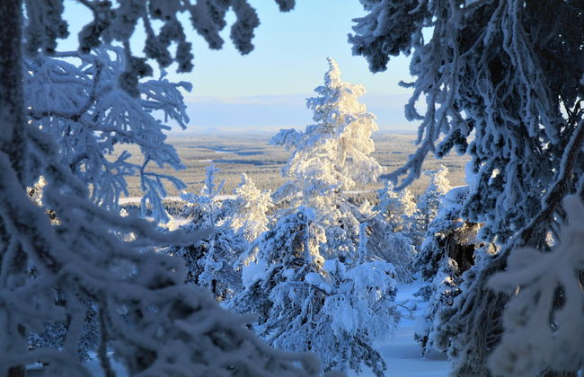 Balade en motoneige dans Luosto - Photo 4