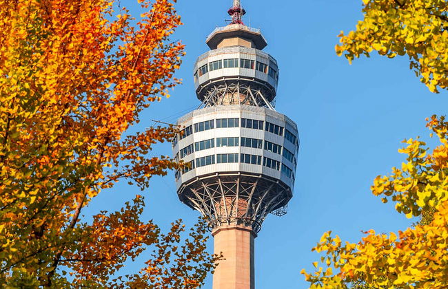 Daegu Tourist Bus - Foto 6