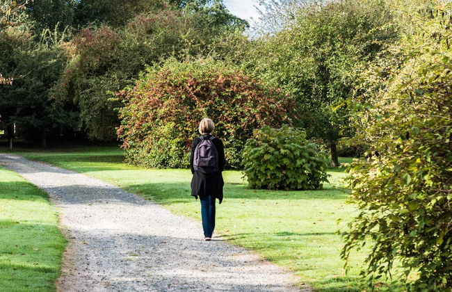 Guayaquil Botanical Garden Tour - Foto 1