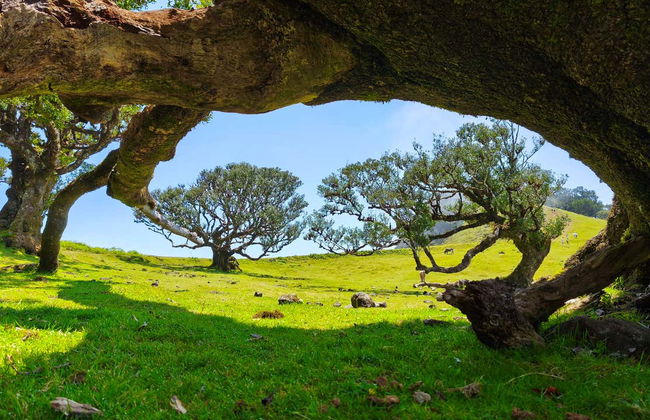 Excursión a las Terrazas Encantadas - Foto 13
