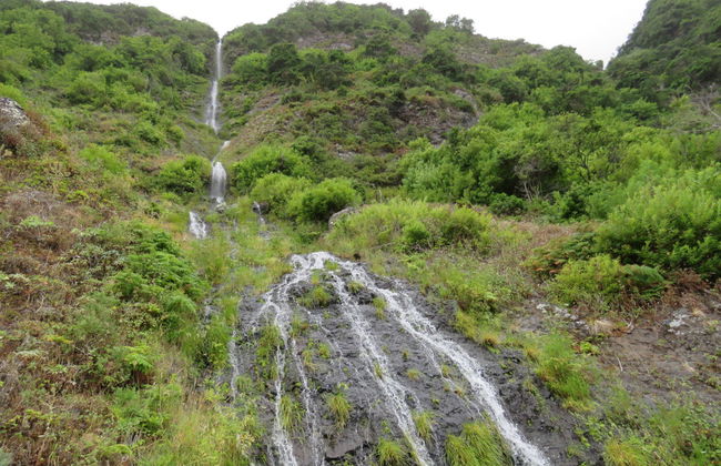 Enchanted Terraces Half-Day Trip - Foto 1