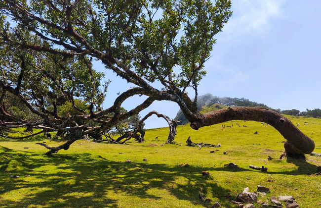 Excursión a las Terrazas Encantadas - Foto 14