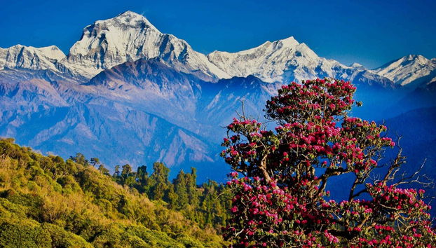 Trekking di tre giorni a Poon Hill e Ghorepani - Foto 3