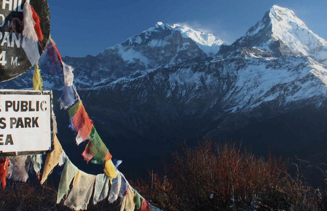 Trekking de 3 días por Poon Hill y Ghorepani - Foto 3