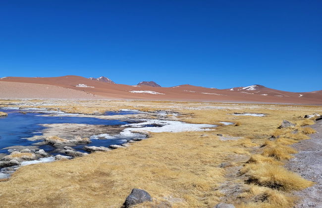 Ruta de los Salares - Foto 3