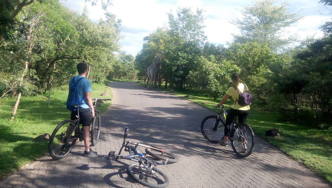 Tour por Victoria Falls en bicicleta - Foto 1
