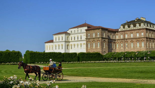 Visita guidata della Reggia di Venaria Reale - Foto 5