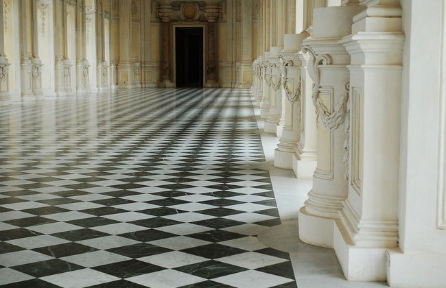 Palace of Venaria Guided Tour - Foto 3