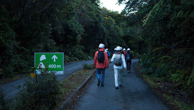 Poas Volcano National Park Day Trip - Photo 5