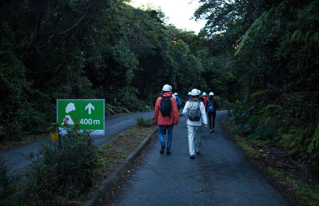 Excursión al Parque Nacional Volcán Poás - Foto 5