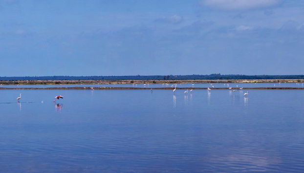 Wharf of the Caravels Boat Cruise - Foto 4