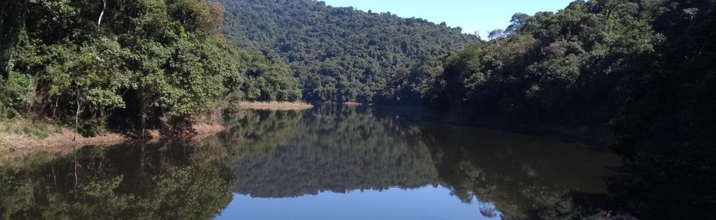 Senderismo por la Serra da Cantareira - Foto 1