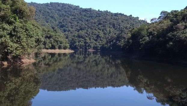 Serra da Cantareira Trekking Experience - Photo 4