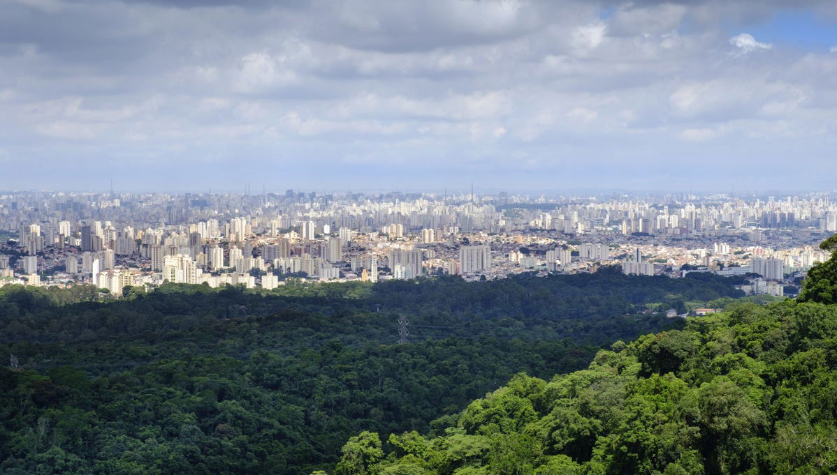 Serra da Cantareira Trekking Experience - Photo 1