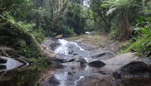 Serra da Cantareira Trekking Experience - Photo 3