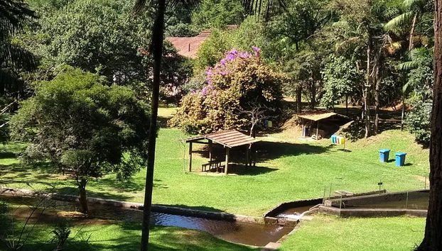 Serra da Cantareira Trekking Experience - Photo 2