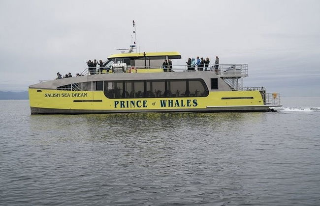 Avistamiento de ballenas en Vancouver - Foto 6
