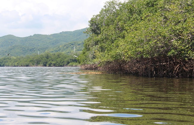 Manialtepec Lagoon Day Trip - Photo 1