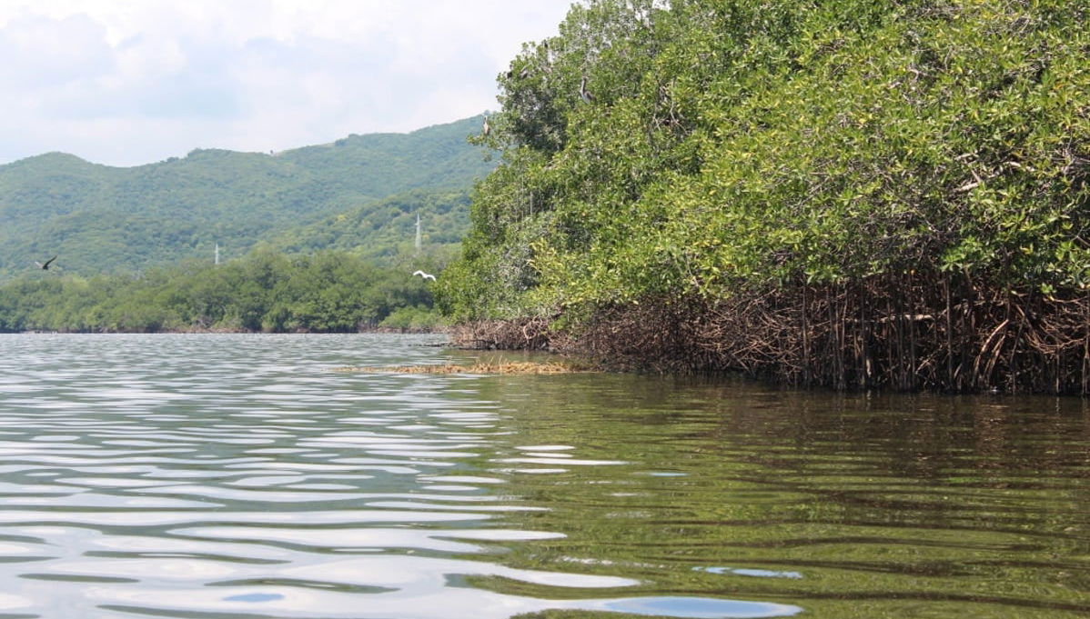 Manialtepec Lagoon Day Trip - Foto 1