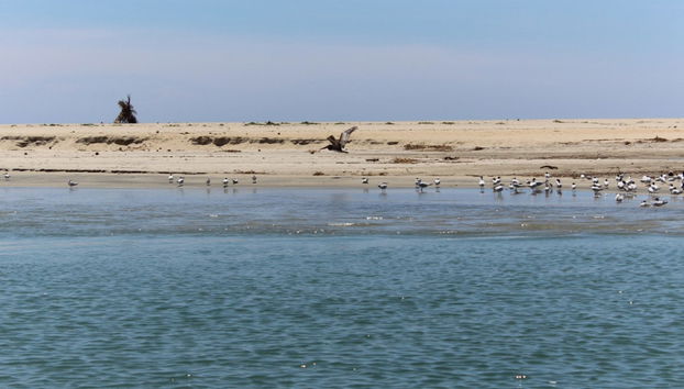 Manialtepec Lagoon Day Trip - Foto 2