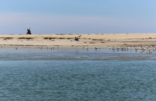 Manialtepec Lagoon Day Trip - Photo 2