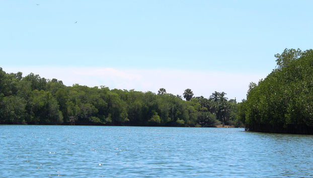 Manialtepec Lagoon Day Trip - Foto 3