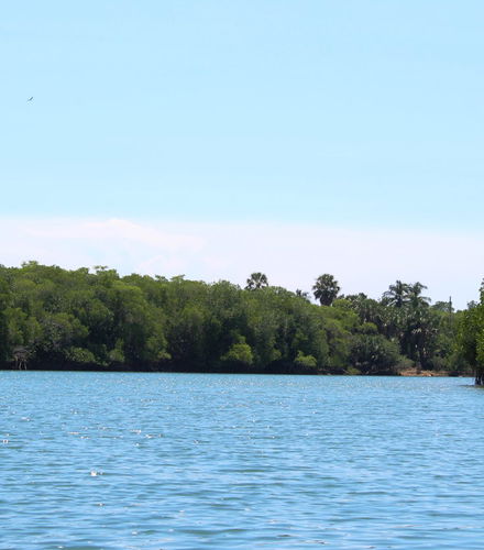 Foto de Excursión a la laguna de Manialtepec