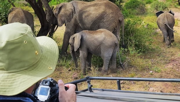 Lake Manyara Safari - Foto 5