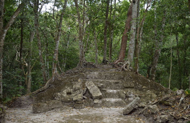 Trekking de 5 días por El Mirador y El Tintal - Foto 5