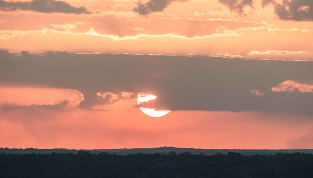 Trekking de 5 días por El Mirador y El Tintal - Foto 4