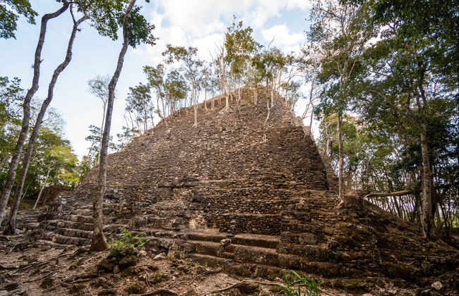 Trekking de 5 días por El Mirador y El Tintal - Foto 1